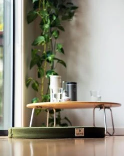 Snow Peak Lounge Cushion -Snow Peak Shop 3 2fd49369 2f83 42c5 ab70 22486b285fff