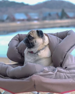 Snow Peak Dog Ofuton Sleeping Bag -Snow Peak Shop PT 085 switch13 515Wx515H jpg