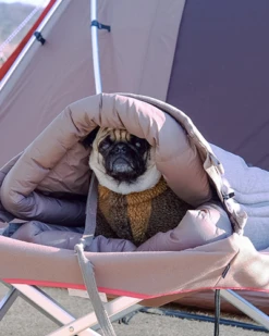 Snow Peak Dog Ofuton Sleeping Bag -Snow Peak Shop PT 085 switch15 515Wx515H jpg