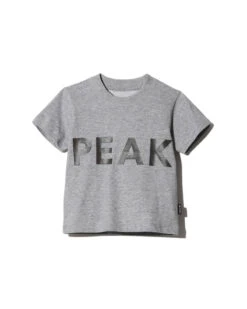 Kids Reflective Printed Quick-Dry T-Shirt – Peak & Snow Reflective Graphic Performance Tee 11 Kids Reflective Printed Quick-Dry T-Shirt – Peak & Snow Reflective Graphic Performance Tee -Snow Peak Shop TS 22SK101 Mg hero 01